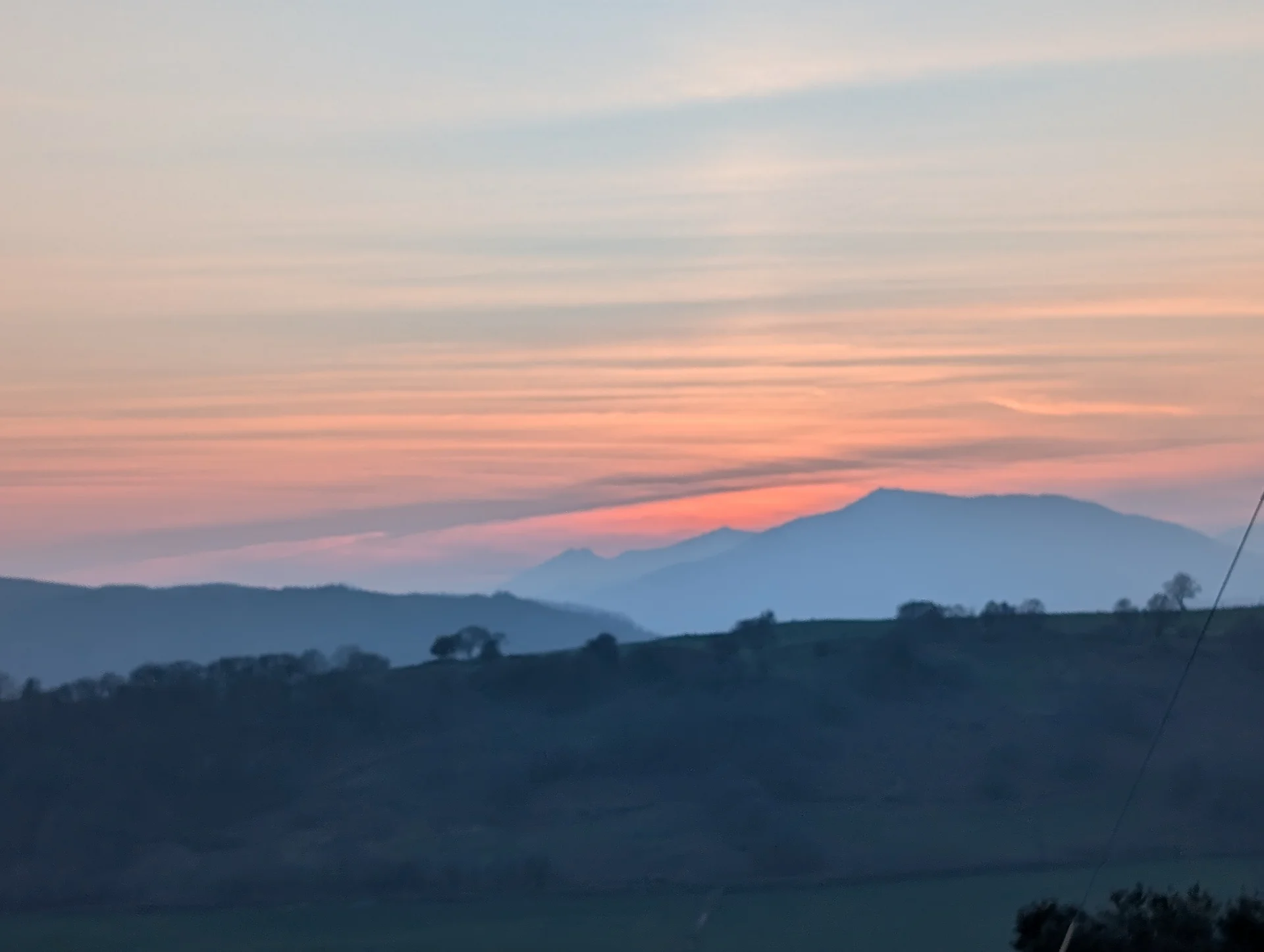 Heather at sunset